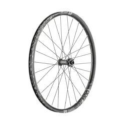 Dt-swiss H 1900 Spline DB 29 Inch Voorwiel, 30mm Lichtmetaal, IS-6 Gat, 110/15mm Boost TA